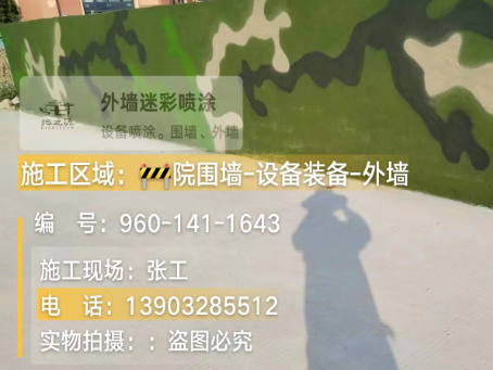 佛山 迷彩漆喷涂价格（按平方米计费）
